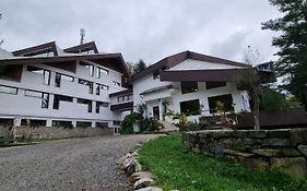 Randunica