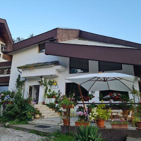 Hotel Randunica Văliug Exterior foto