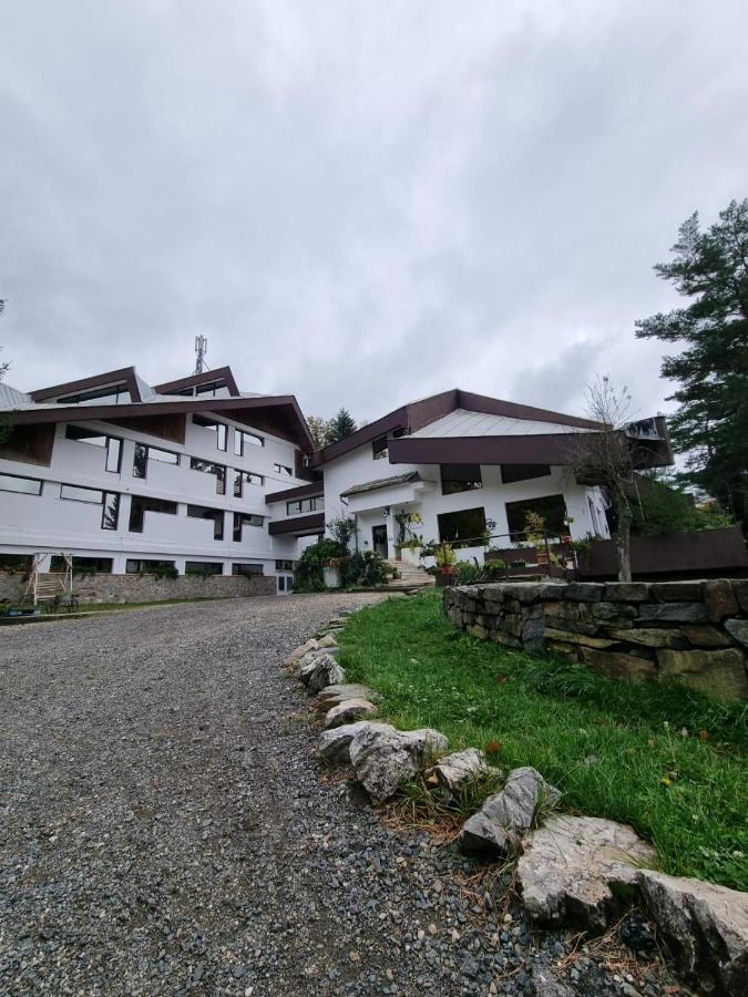 Hotel Randunica Văliug Exterior foto