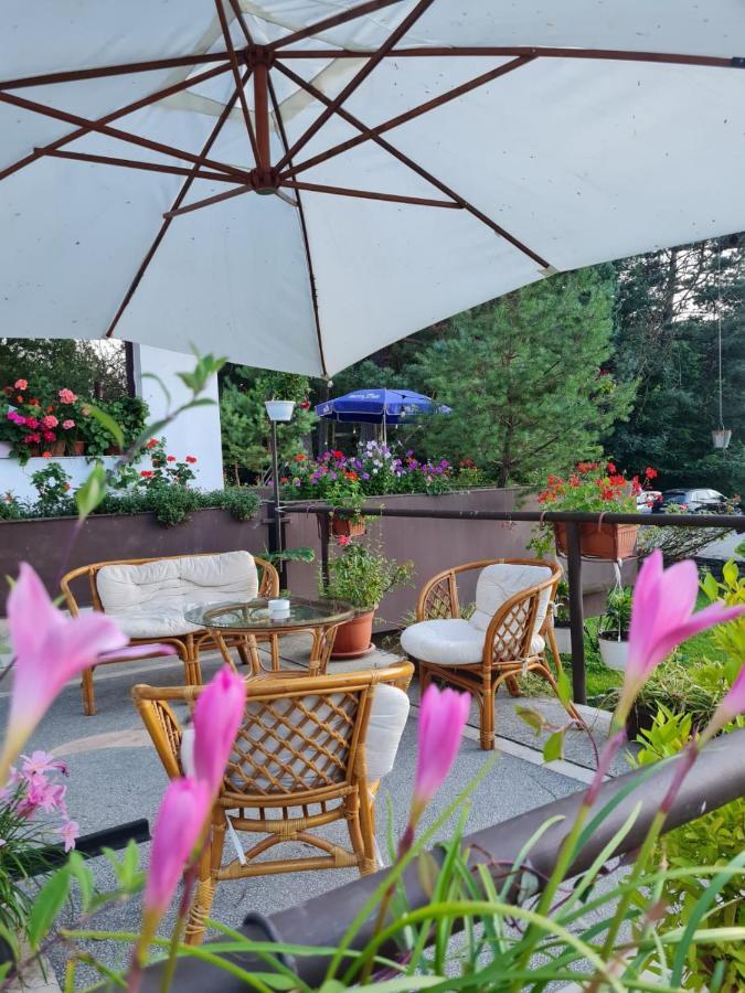 Hotel Randunica Văliug Exterior foto